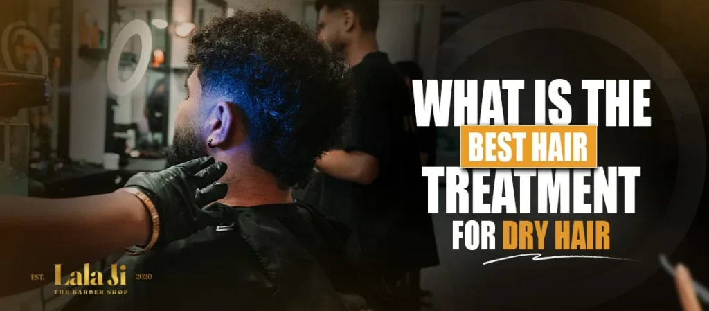 Best Hair Treatment for Dry Hair